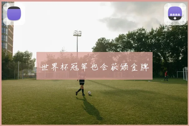 世界杯冠军也会获颁金牌