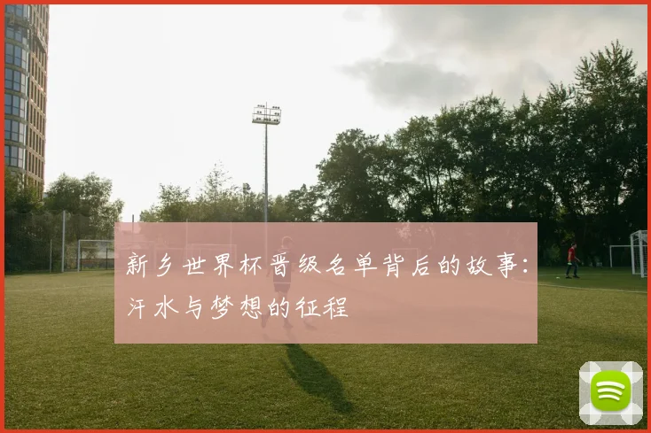 新乡世界杯晋级名单背后的故事：汗水与梦想的征程