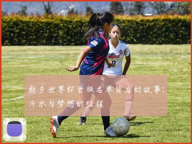 新乡世界杯晋级名单背后的故事：汗水与梦想的征程