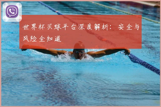 世界杯买球平台深度解析：安全与风险全知道