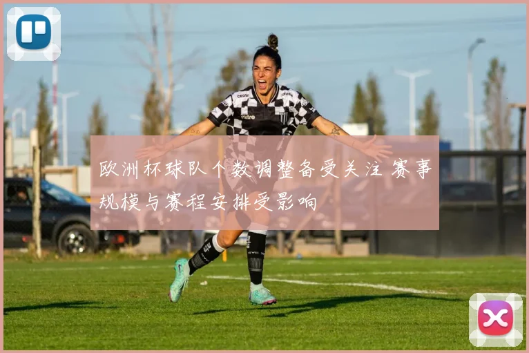 欧洲杯球队个数调整备受关注 赛事规模与赛程安排受影响