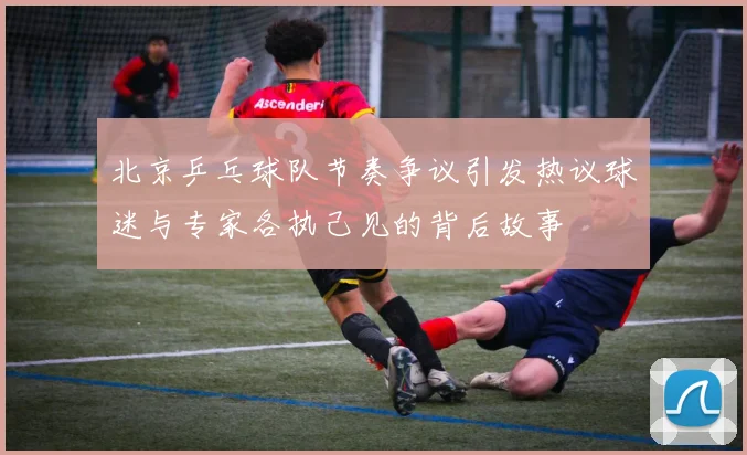 北京乒乓球队节奏争议引发热议球迷与专家各执己见的背后故事