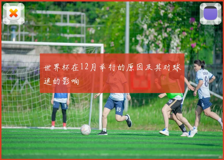 世界杯在12月举行的原因及其对球迷的影响