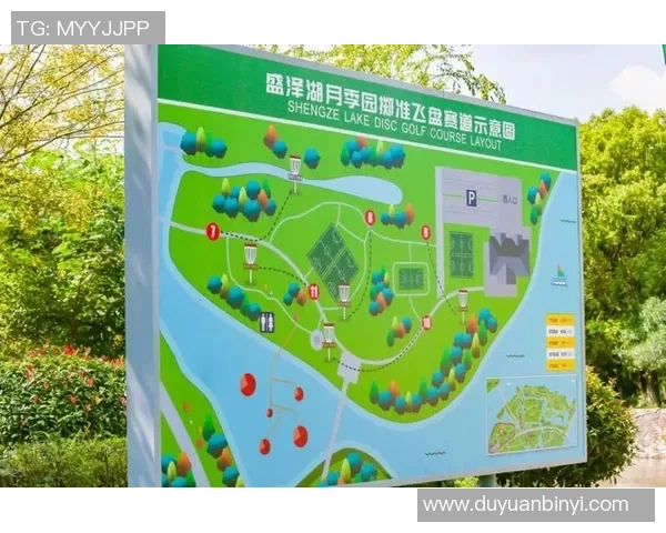 南京飞盘队技术探讨：提升竞技水平与团队协作的关键要素分析